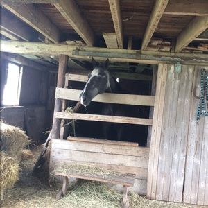 Meet your Posher, Paige